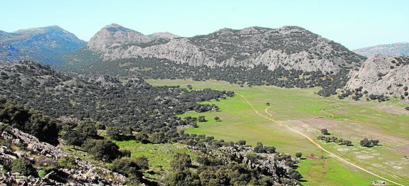 Grazalema