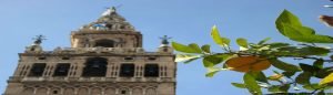 catedral de sevilla